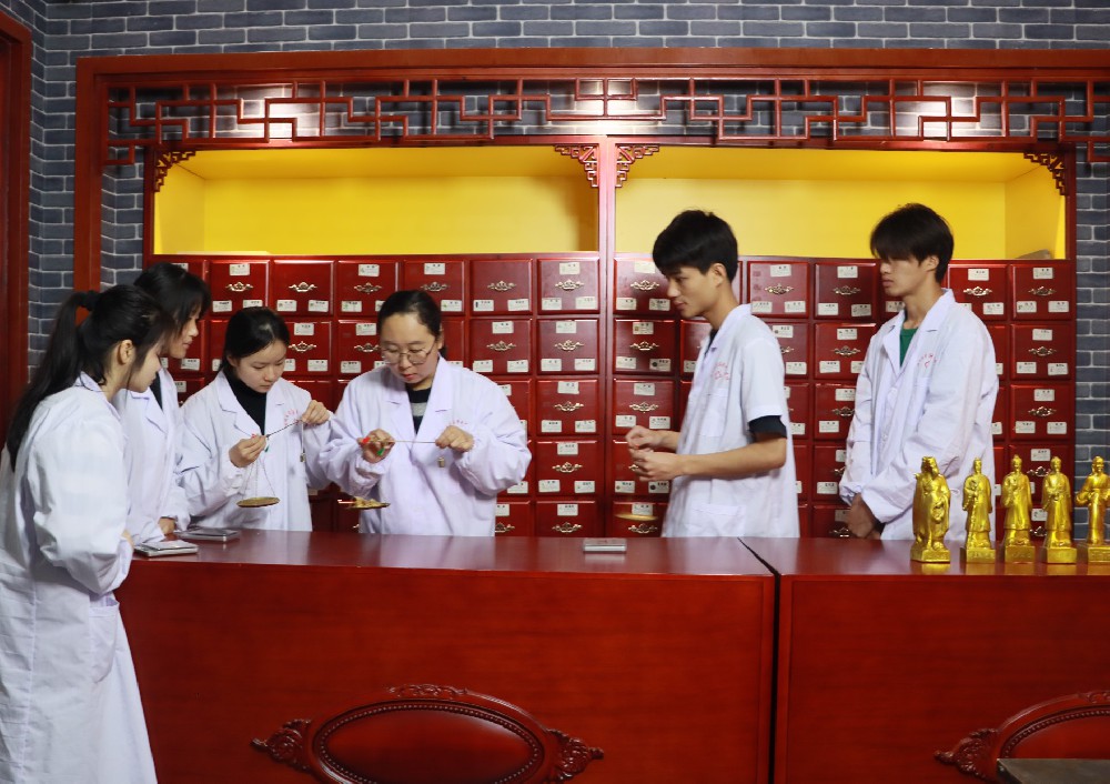 中药学（药学院）