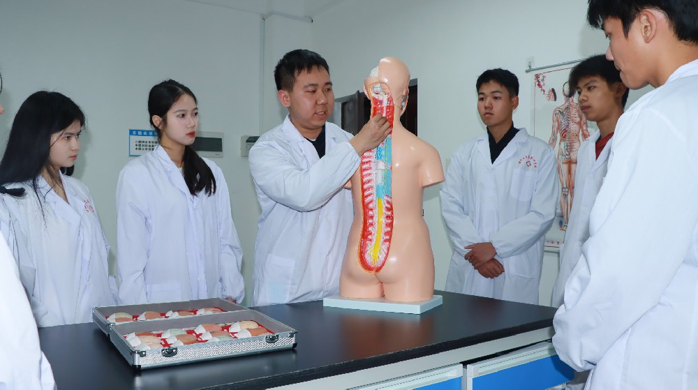 中医康复技术（中医学院）